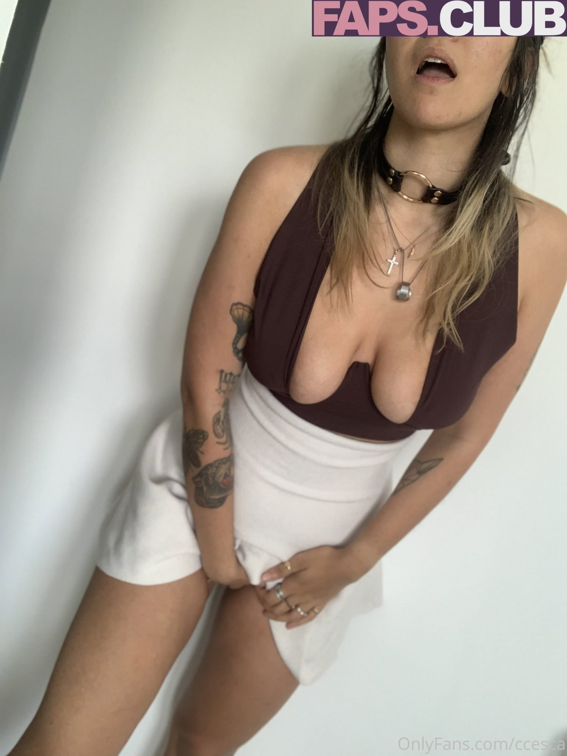 ccesca Nude Leaked OnlyFans Photo 18