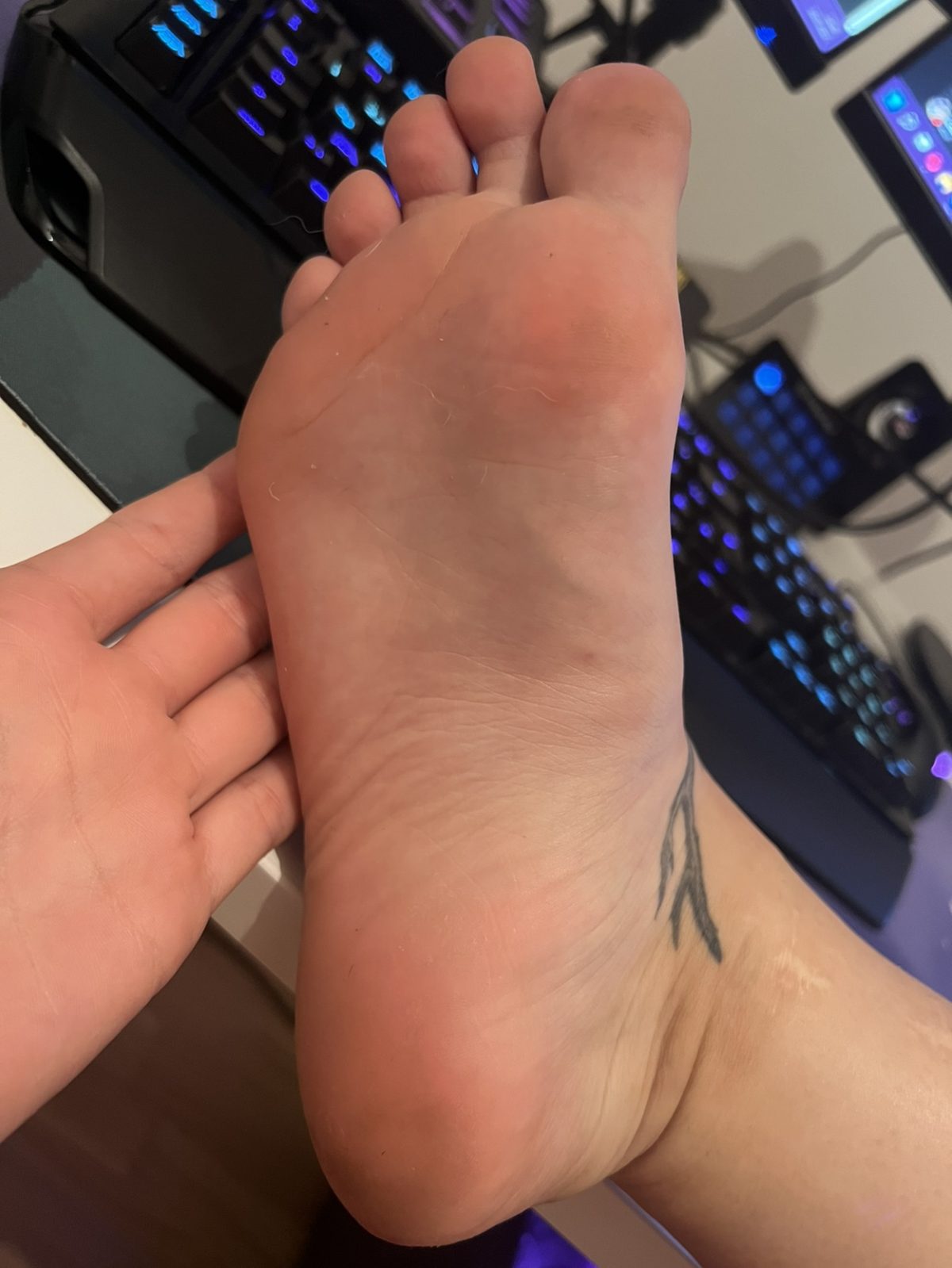 Collieesi Onlyfans Sexy Twitch Streamer Feet Photos