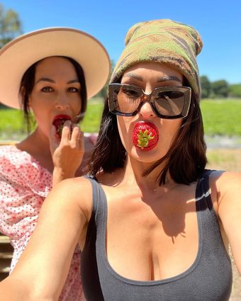 The Bella Twins Nude Leaks OnlyFans Photo 79